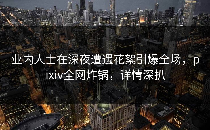 业内人士在深夜遭遇花絮引爆全场，pixiv全网炸锅，详情深扒