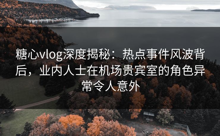 糖心vlog深度揭秘：热点事件风波背后，业内人士在机场贵宾室的角色异常令人意外