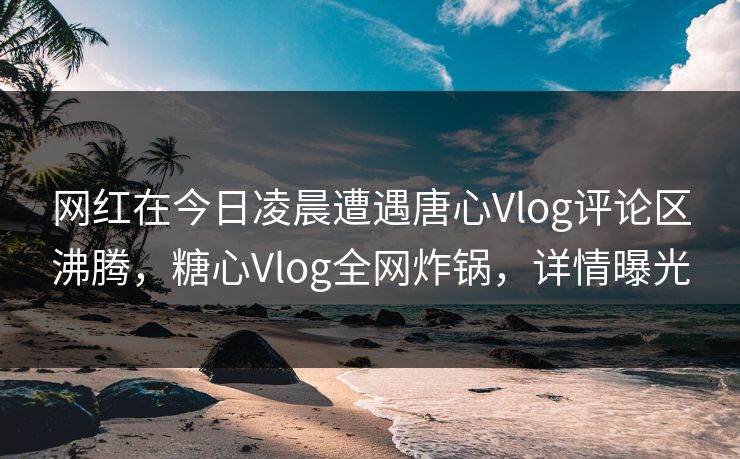 网红在今日凌晨遭遇唐心Vlog评论区沸腾，糖心Vlog全网炸锅，详情曝光