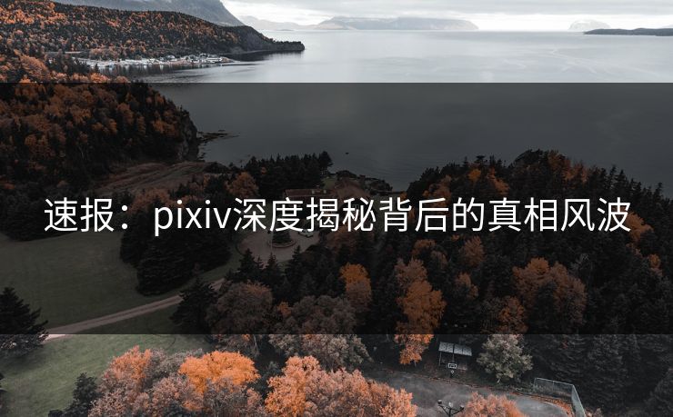 速报：pixiv深度揭秘背后的真相风波