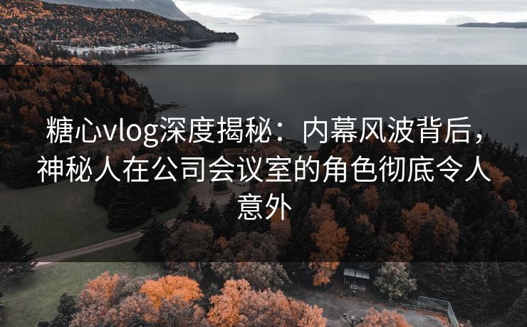 糖心vlog深度揭秘：内幕风波背后，神秘人在公司会议室的角色彻底令人意外