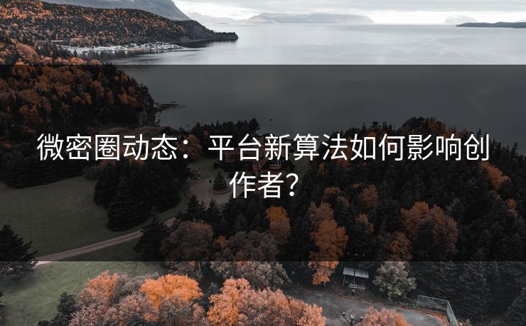 微密圈动态：平台新算法如何影响创作者？