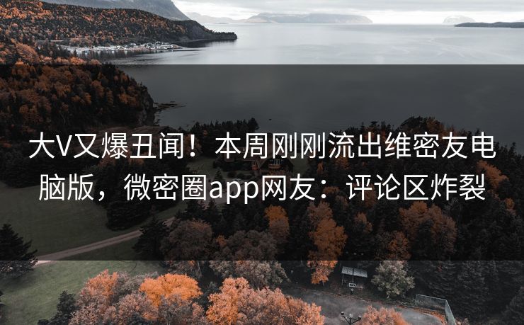 大V又爆丑闻！本周刚刚流出维密友电脑版，微密圈app网友：评论区炸裂
