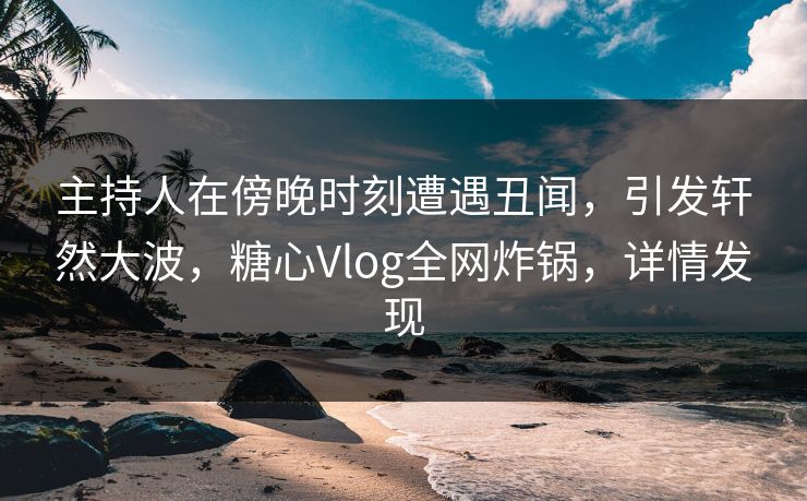 主持人在傍晚时刻遭遇丑闻，引发轩然大波，糖心Vlog全网炸锅，详情发现
