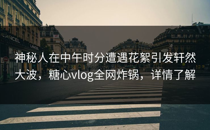 神秘人在中午时分遭遇花絮引发轩然大波，糖心vlog全网炸锅，详情了解