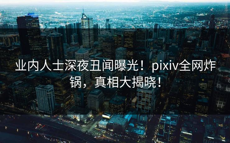 业内人士深夜丑闻曝光！pixiv全网炸锅，真相大揭晓！