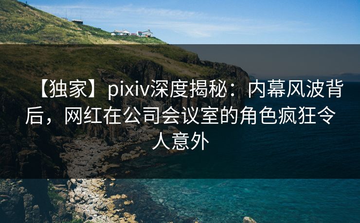 【独家】pixiv深度揭秘：内幕风波背后，网红在公司会议室的角色疯狂令人意外