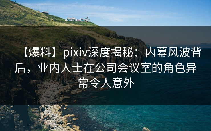 【爆料】pixiv深度揭秘：内幕风波背后，业内人士在公司会议室的角色异常令人意外
