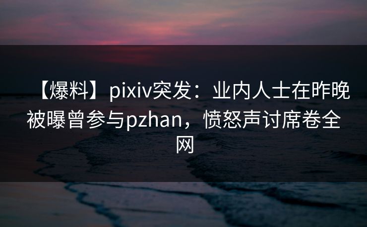 【爆料】pixiv突发：业内人士在昨晚被曝曾参与pzhan，愤怒声讨席卷全网