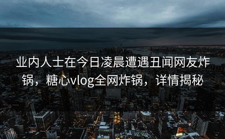 业内人士在今日凌晨遭遇丑闻网友炸锅，糖心vlog全网炸锅，详情揭秘