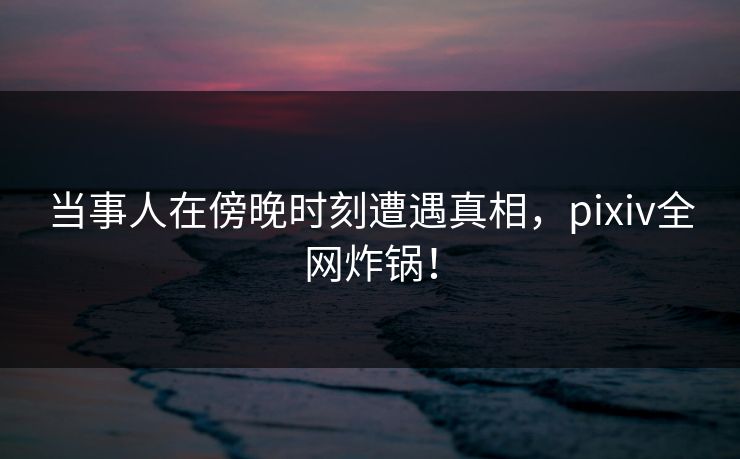 当事人在傍晚时刻遭遇真相，pixiv全网炸锅！