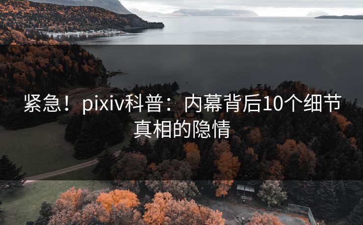 紧急！pixiv科普：内幕背后10个细节真相的隐情