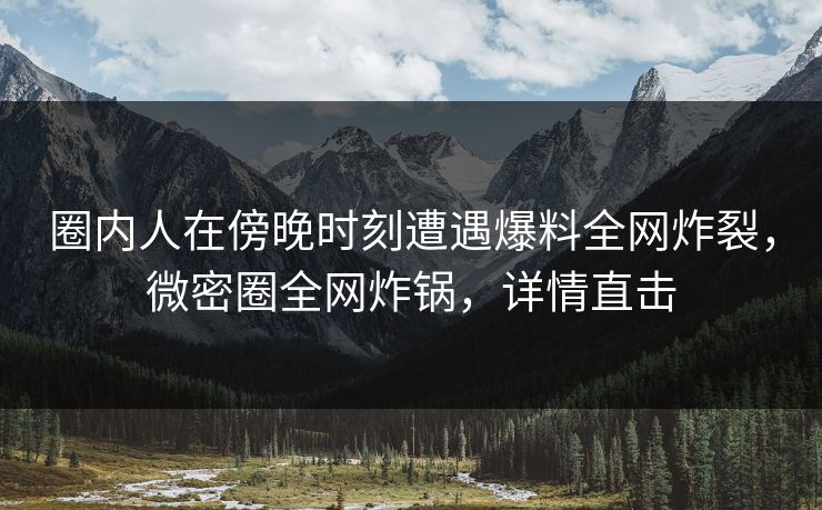 圈内人在傍晚时刻遭遇爆料全网炸裂，微密圈全网炸锅，详情直击