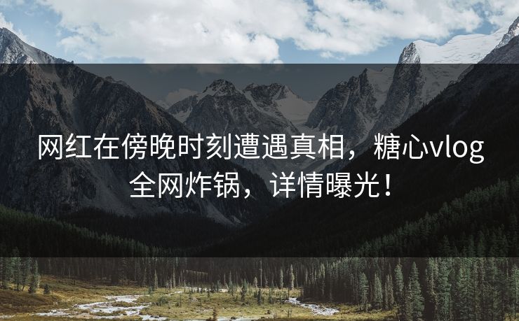 网红在傍晚时刻遭遇真相，糖心vlog全网炸锅，详情曝光！