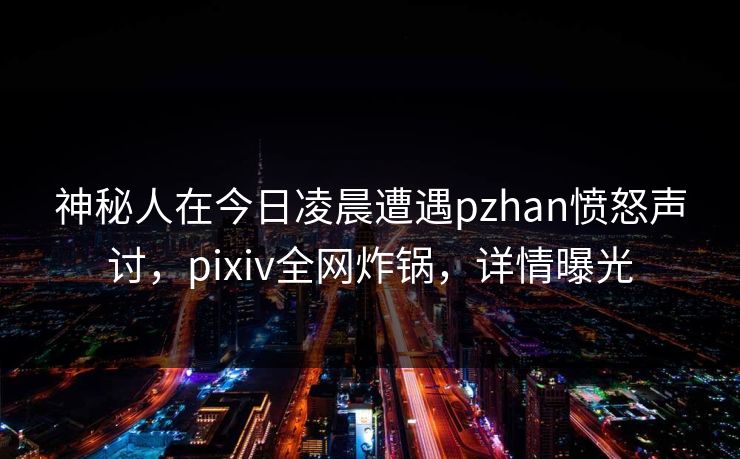 神秘人在今日凌晨遭遇pzhan愤怒声讨，pixiv全网炸锅，详情曝光