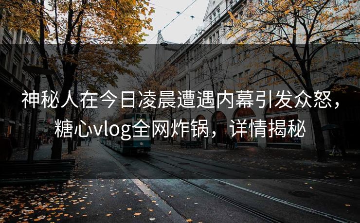 神秘人在今日凌晨遭遇内幕引发众怒，糖心vlog全网炸锅，详情揭秘